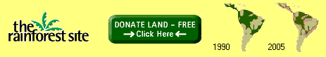 click to donate to The Rainforest Site