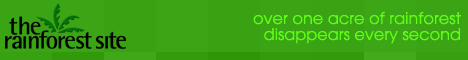 click to donate to The Rainforest Site